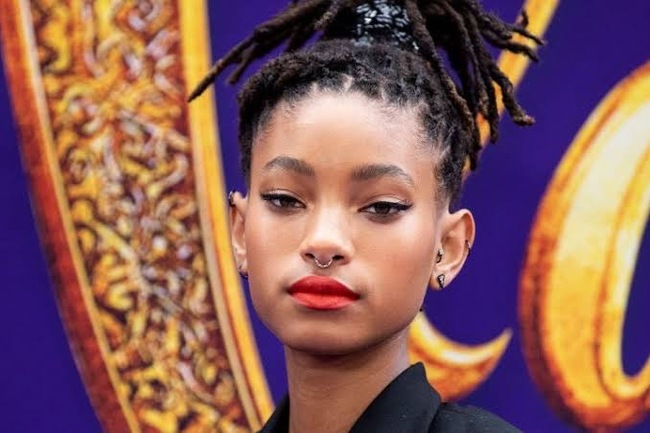 Willow Smith Bikini Pictures Causes Commotion Online
