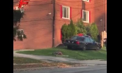 Cleveland police shoot man while trying to rape a woman in viral video