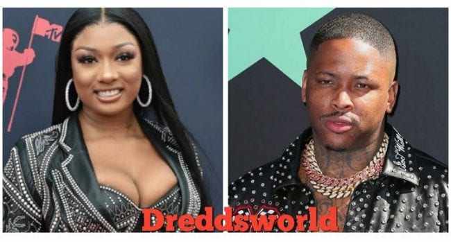 Megan Thee Stallion And YG Sparks Dating Rumors 