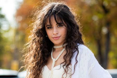 Camila Cabello Apologizes For Using Racial Slurs In The Past 