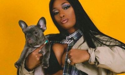 Megan Thee Stallion's Puppy 4oe Starring At Her Booty 
