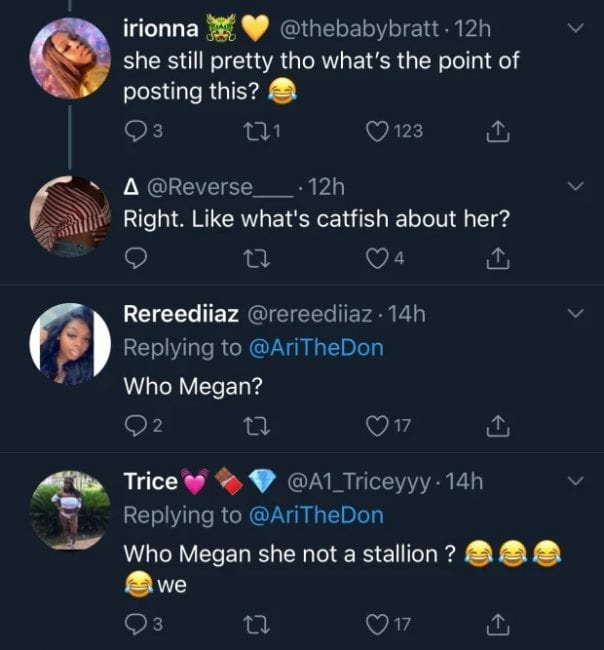 Ari Calls Megan Thee Stallion A 'Catfish' 