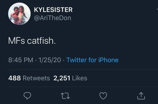 Ari Calls Megan Thee Stallion A 'Catfish' 