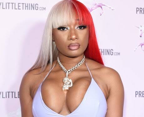 Megan Thee Stallion Was Arrested For Causing Bodily Injury On Family Member