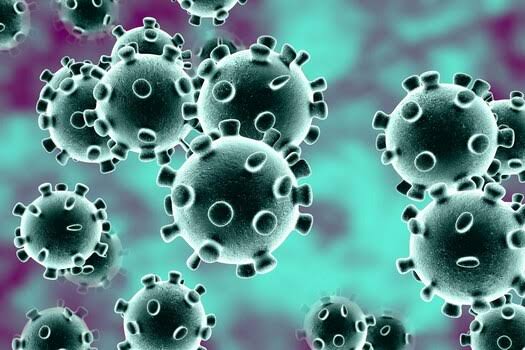 Are Black People Immune To The Coronavirus