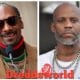 Hip Hop Fans React To Snoop Dogg & DMX Upcoming Versuz Battle On Twitter