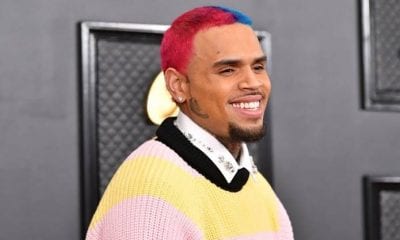 Chris Brown Gets Massive Dog Tattooed On His Head