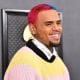 Chris Brown Gets Massive Dog Tattooed On His Head