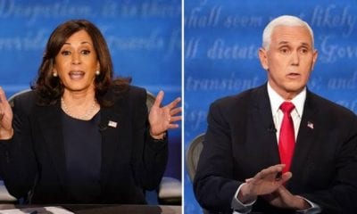 Memes About Fly On Mike Pence's Head During Vice Presidential Debate With Kamala Harris