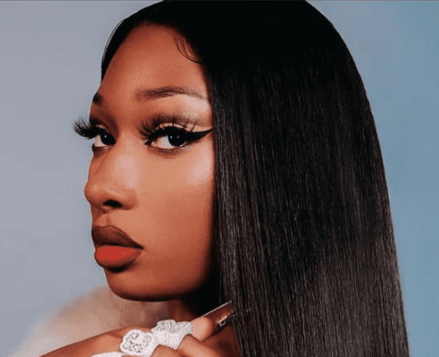 Megan Thee Stallion Criticized For Sharing Info With "White Publications"