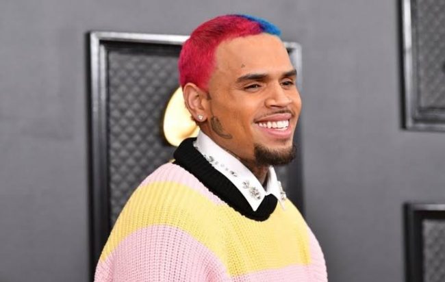 Chris Brown Reacts To Nate Robinson Getting Knocked Out By Jake Paul