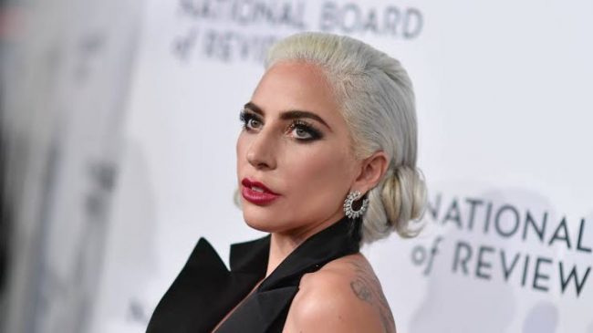 Lady Gaga Is Offering $500,000 As A Reward To The Person Who Has Her Dogs