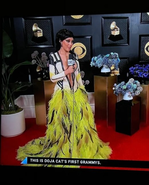 The Worst Looks On Last Night's Grammys Red Carpet; Doja Cat & Lizzo