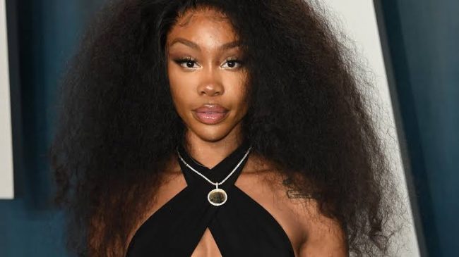 SZA Called Out For Lying About Her Personal Details By Fan 'Medusa'