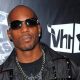 DMX's Alleged Side Chick Attempted To Visit Him With Their Supposed Twins At The Hospital