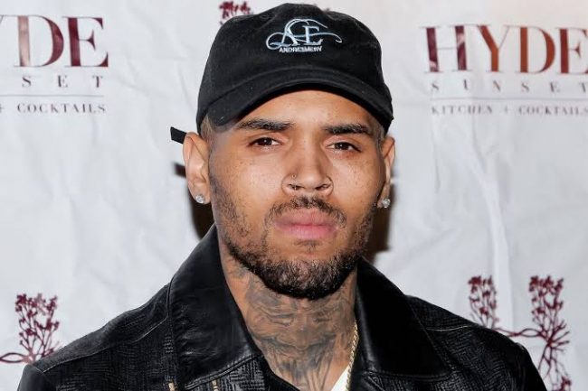 Pictures Of Chris Brown's Dog Attack Victim Surface Online