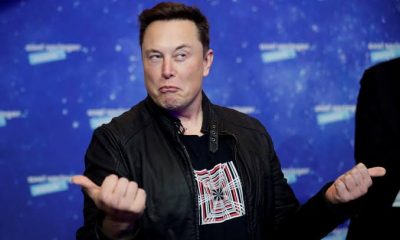 Elon Musk Seemingly Crashes Dogecoin By 35%
