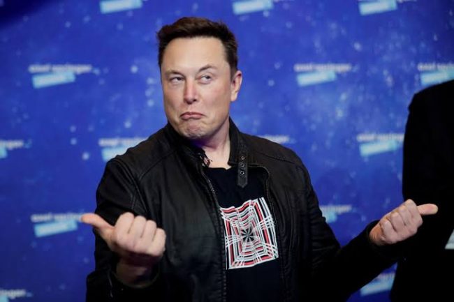 Elon Musk Seemingly Crashes Dogecoin By 35%