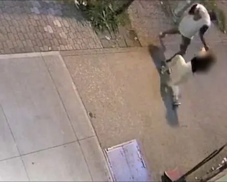 Brooklyn Thug Gropes & Punches Woman In Face In Viral Video