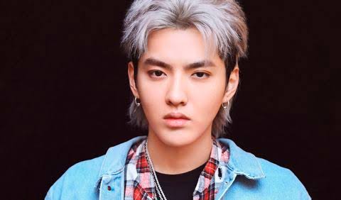 Chinese-Canadian Pop Star Kris Wu Detained On Suspicion Of Rape