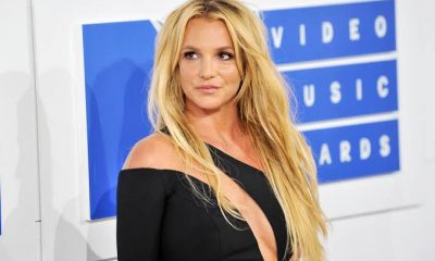 Britney Spears’ Dog Reportedly Gets Taken Away From Her, Blames Dad Jamie