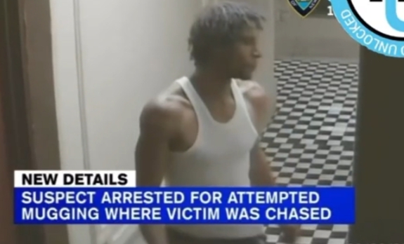 Man Seen Chasing Woman To Her Apartment In Viral Video Arrested