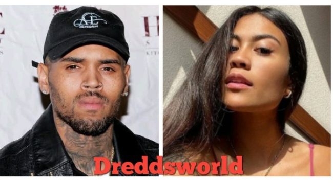 Chris Brown's Allegedly Impregnates His Third Non-Black Insta-Model