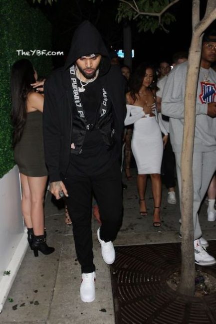 Chris Brown Allegedly Impregnates His Third Non-Black Insta-Model