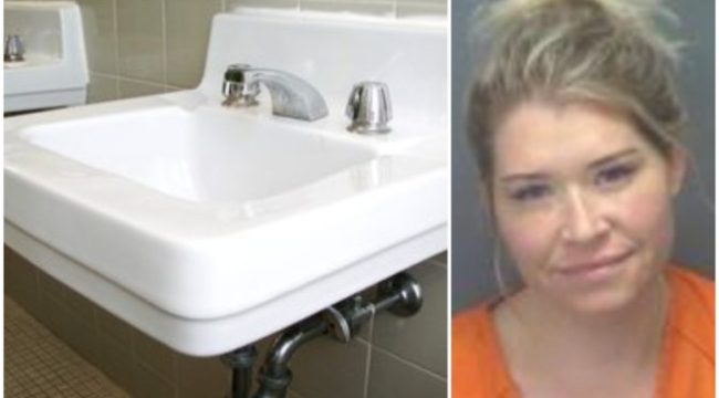 Florida Woman Breaks Public Toilet During Sex Romp With Her Friend