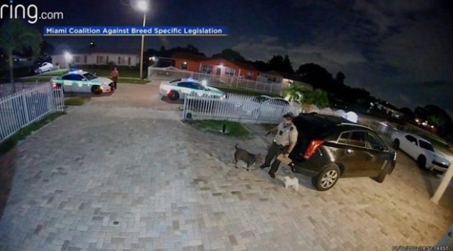 Florida Police Officer Under Investigation For Shooting & Killing Dog