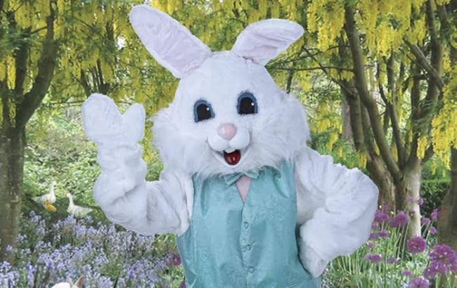 Parent Dressed AS Easter Bunny Handed Out Condoms At Austin Elementary School, Texas