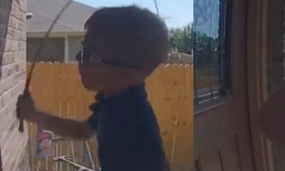 Lil Caucasian Boy Brings Whip To Woman's Doorstep Looking For Her Black Daughter