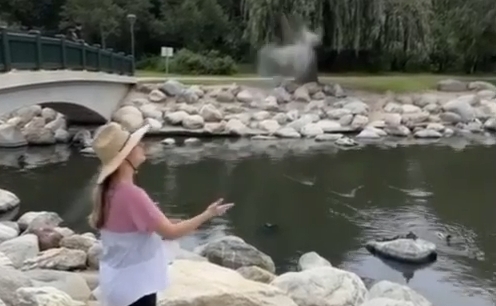 Moment Girl Scatters Dog Ashes In River And It Miraculously Formed Shape Of The Same Dog 