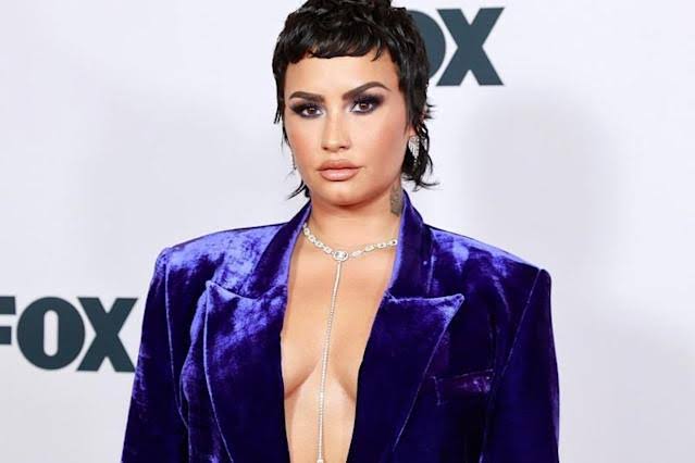 Demi Lovato Has Updated Their Pronouns To They/Them/She/Her