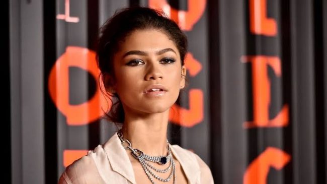 Video Of Zendaya Allegedly Getting Beat Up Surface Online 