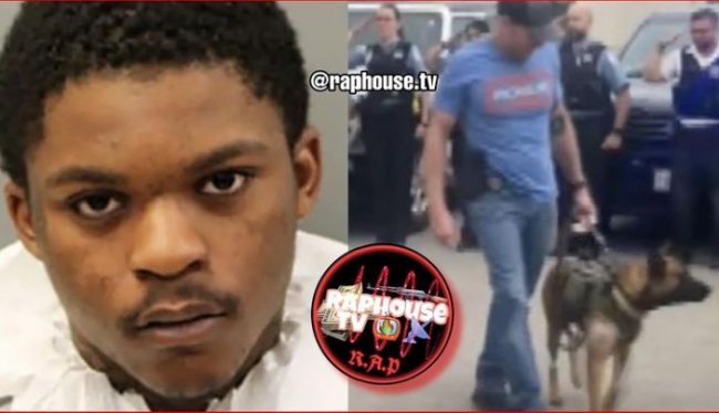 Chicago Teenager Charged With Shooting U.S Marshall & His Police Dog