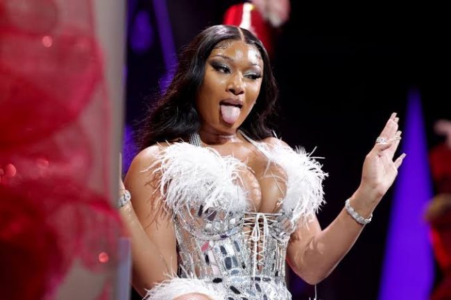Megan Thee Stallion Accidentally Shows She's On Plan B