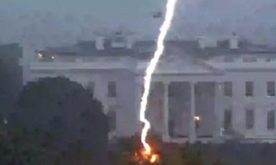 3 Dead & 1 Injured Following Lightning Strike Outside The White House