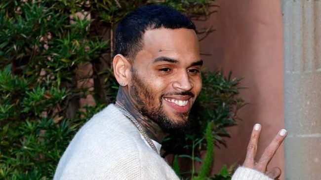 Chris Brown Falls Off Stage Mid Performance