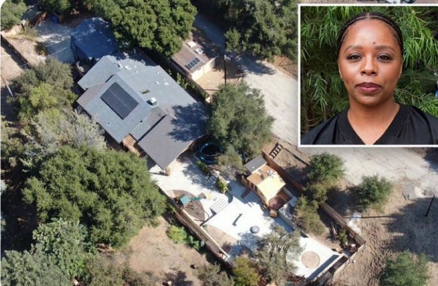 BLM Founder Patrisse Cullors Spends Thousands Renovating Her New L.A. Mansion