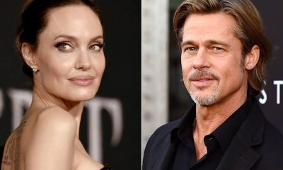 Angelina Jolie Claims Brad Pitt Choked One Of Their Children & Struck Another In The Face In 2016 Plane Fight