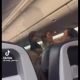 Video Footage Shows United Airlines Passenger Threatening To Kill Flight Attendant Who Wouldn't Let Her Use The Restroom