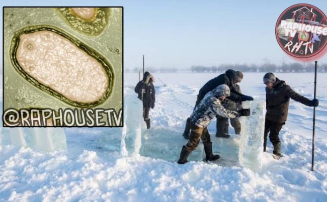 French Scientists Spark Fear Of Another Pandemic After Reviving A 'Zombie Virus' Trapped Under A Frozen Lake In Russia For 50,000 Years