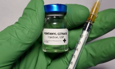New Vaccine Stops Fentanyl From Entering The Brain & Stop Users From Getting High Or Risk Of Death