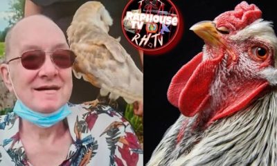 Irish Man Mauled By Vicious Chicken In Barnyard Attack