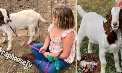 Girl, 9, Sues California State Fair After Her Pet Goat Was Sold & Barbecued