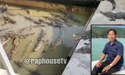 Cambodian Crocodile Farmer Loses His Life After 40 Of His Own Animals Pounced On Him