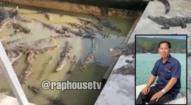 Cambodian Crocodile Farmer Loses His Life After 40 Of His Own Animals Pounced On Him