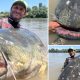 Fisherman Goes Viral After Catching A 9-Foot-Long Catfish In Italy