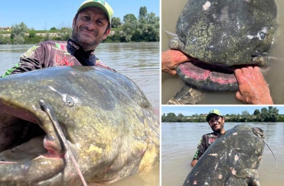 Fisherman Goes Viral After Catching A 9-Foot-Long Catfish In Italy